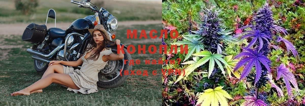 гидропоника Каменка