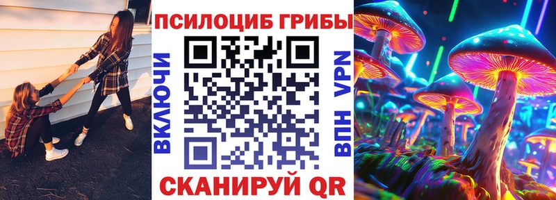 hydra как войти Благовещенск Псилоцибиновые грибы Psilocybine cubensis