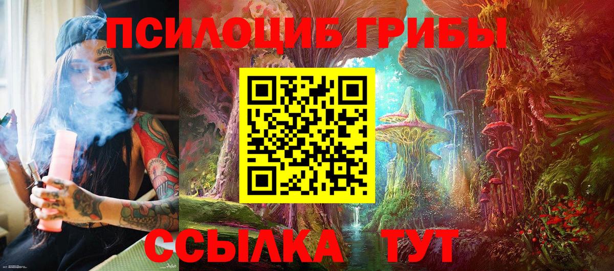 Галлюциногенные грибы Psilocybe Благовещенск